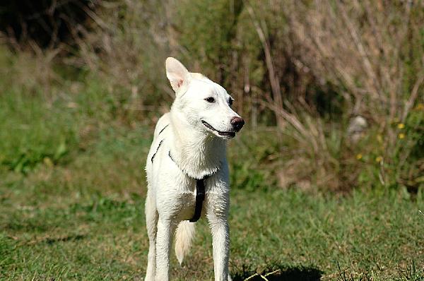 🌸 LILY – 6 MESI DI TENEREZZA! 🌸 Foto 6